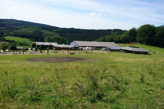 Bauernhof in Traumhafter Lage auf 23 ha zu verkaufen