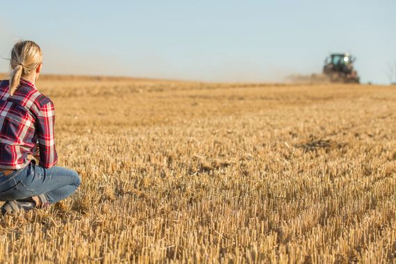 11 ha Ackerland zu verkaufen