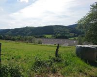 0e7e7b05-2902-4bb4-aea5-bfd3587dd785