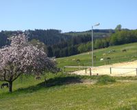 16478303-d49b-4e53-ba32-c44818fe6f4f