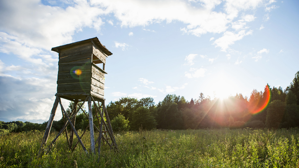 Was man beim Kauf eines Jagdreviers beachten sollte