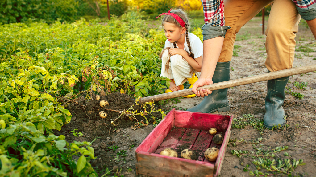 Neue Agrarpolitik 2023: Was bedeutet die GAP für Landwirte?