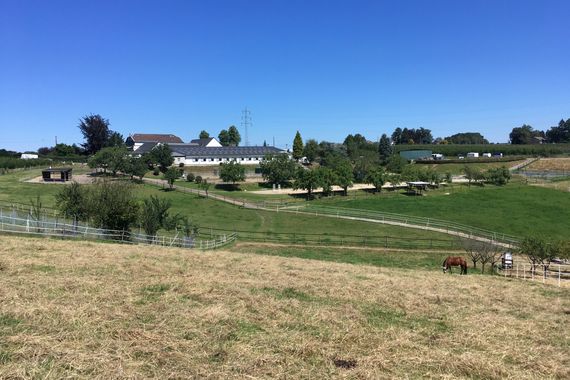 Reitanlage auf 11,5 ha zu verkaufen