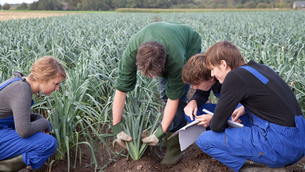 Landwirtschaft 2.0: Wie junge Landwirte die Branche verändern