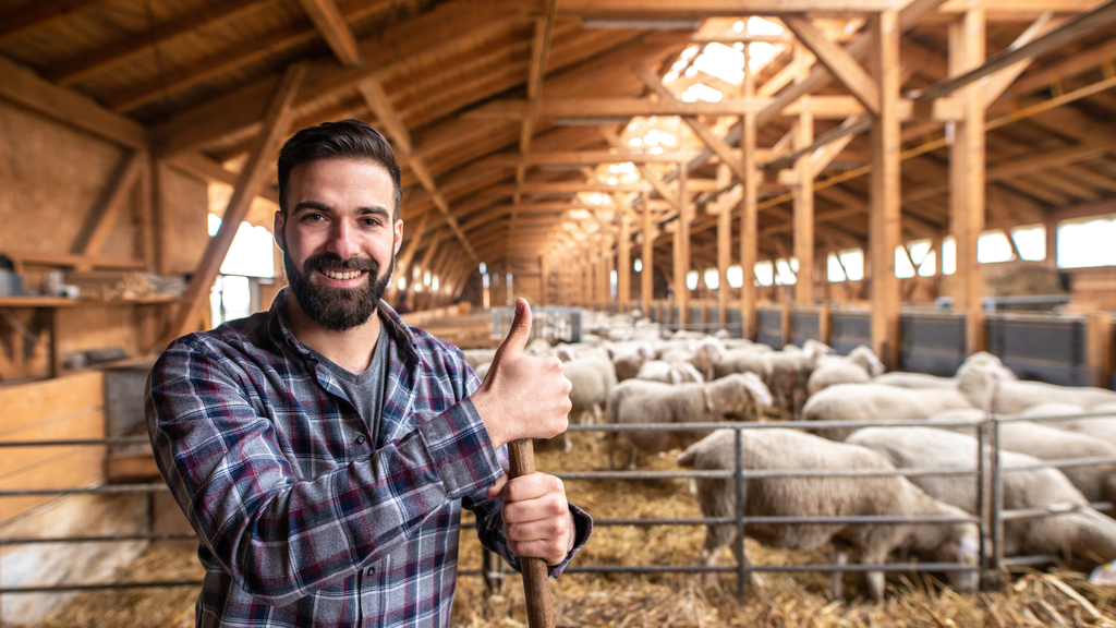 Neue Technologien in der Landwirtschaft: Von Drohnen bis zur künstlichen Intelligenz
