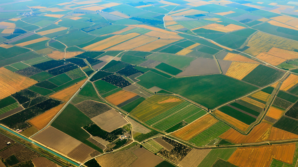 Ackerland verkaufen oder kaufen: Wichtige Tipps für Käufer und Verkäufer