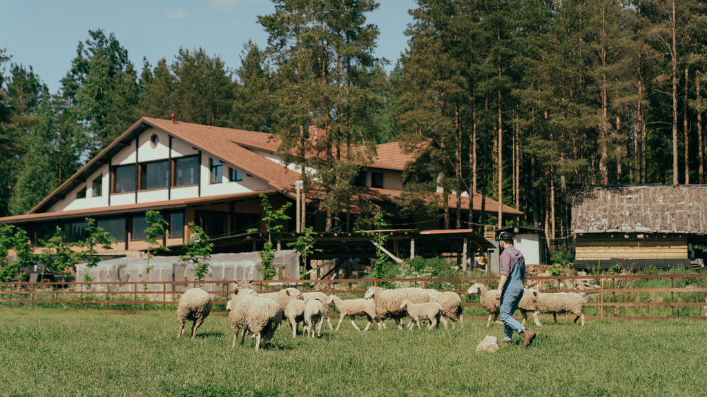Bauernhof verkaufen: Wichtige Tipps für einen erfolgreichen Verkauf