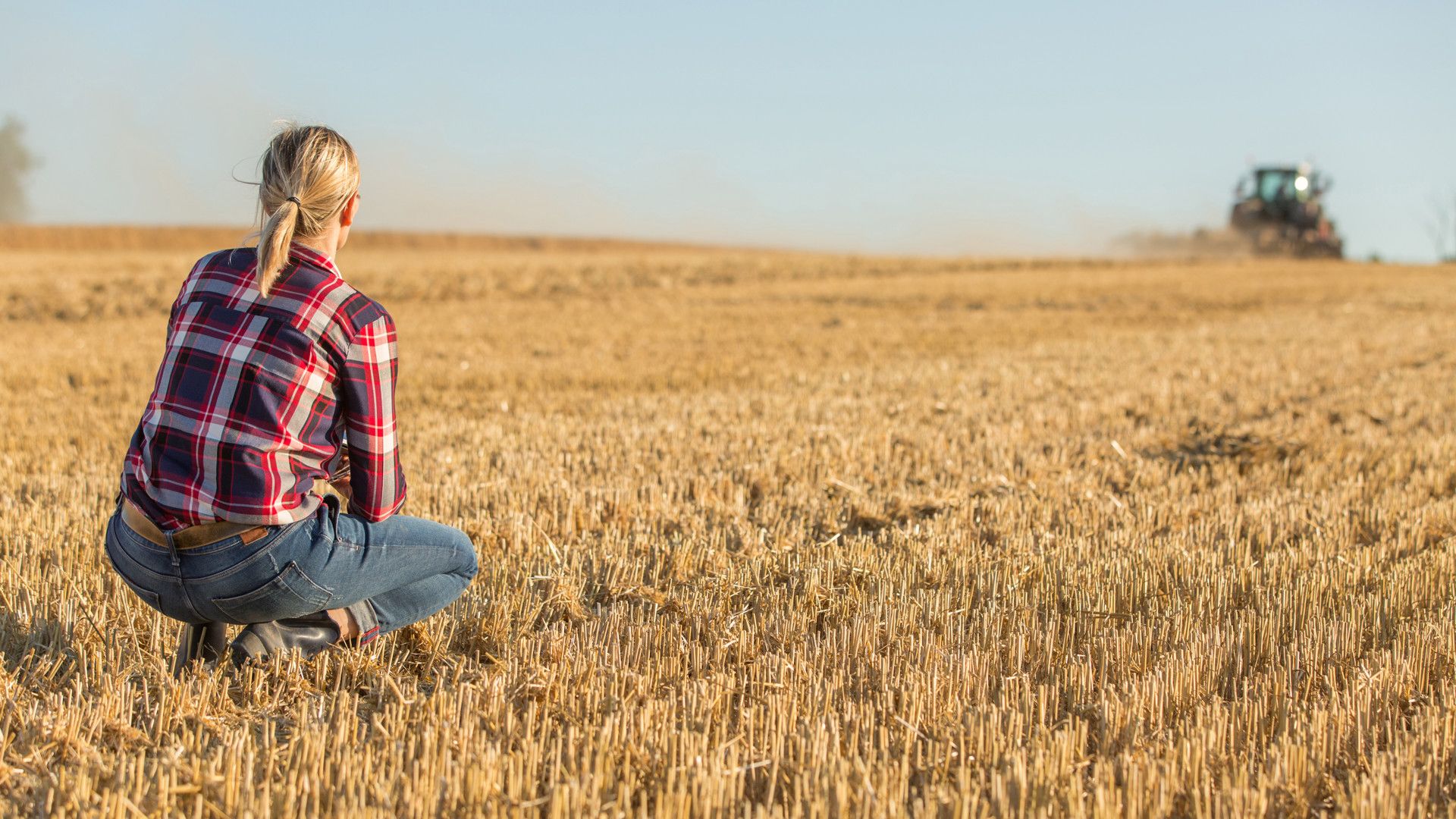 11 ha Ackerland zu verkaufen